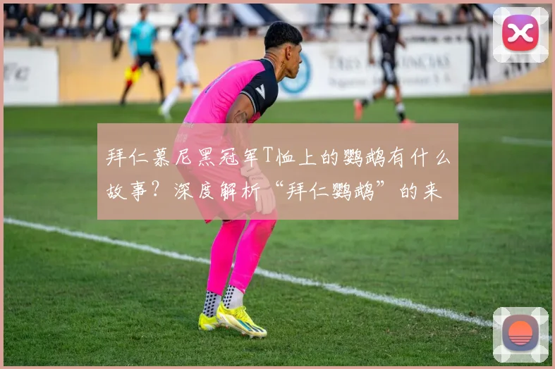 拜仁慕尼黑冠军T恤上的鹦鹉有什么故事？深度解析“拜仁鹦鹉”的来历、含义与文化象征