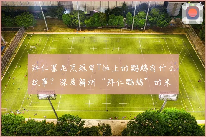 拜仁慕尼黑冠军T恤上的鹦鹉有什么故事?深度解析“拜仁鹦鹉”的来历、含义与文化象征