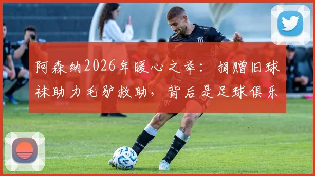 阿森纳2026年暖心之举：捐赠旧球袜助力毛驴救助，背后是足球俱乐部慈善新思路