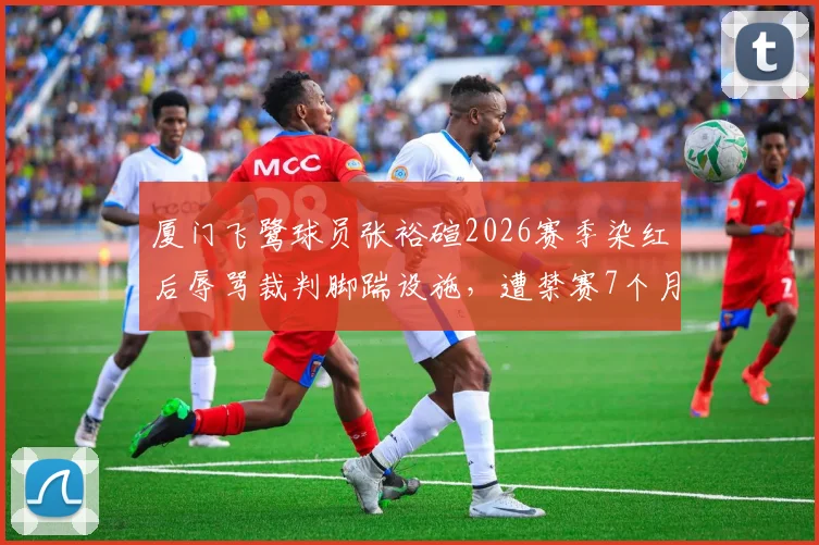 厦门飞鹭球员张裕碹2026赛季染红后辱骂裁判脚踹设施，遭禁赛7个月处罚决定详解