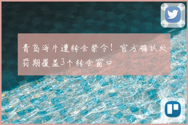 青岛海牛遭转会禁令!官方确认处罚期覆盖3个转会窗口